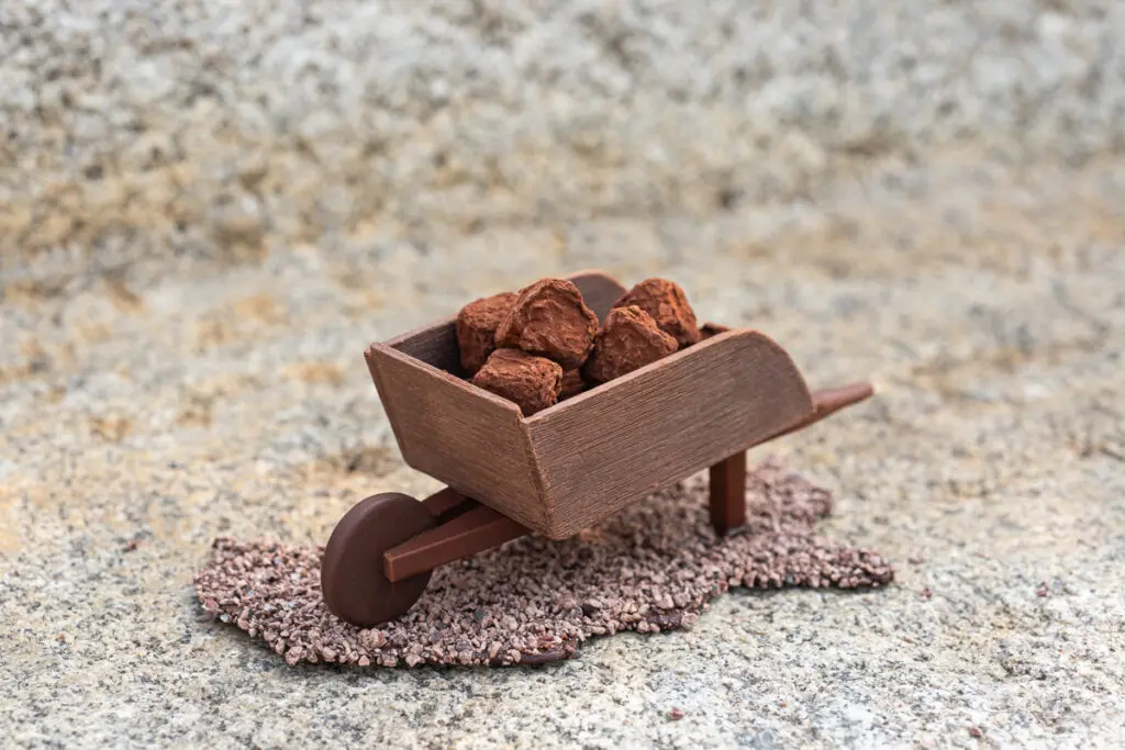 chocolats de noel baumaniere