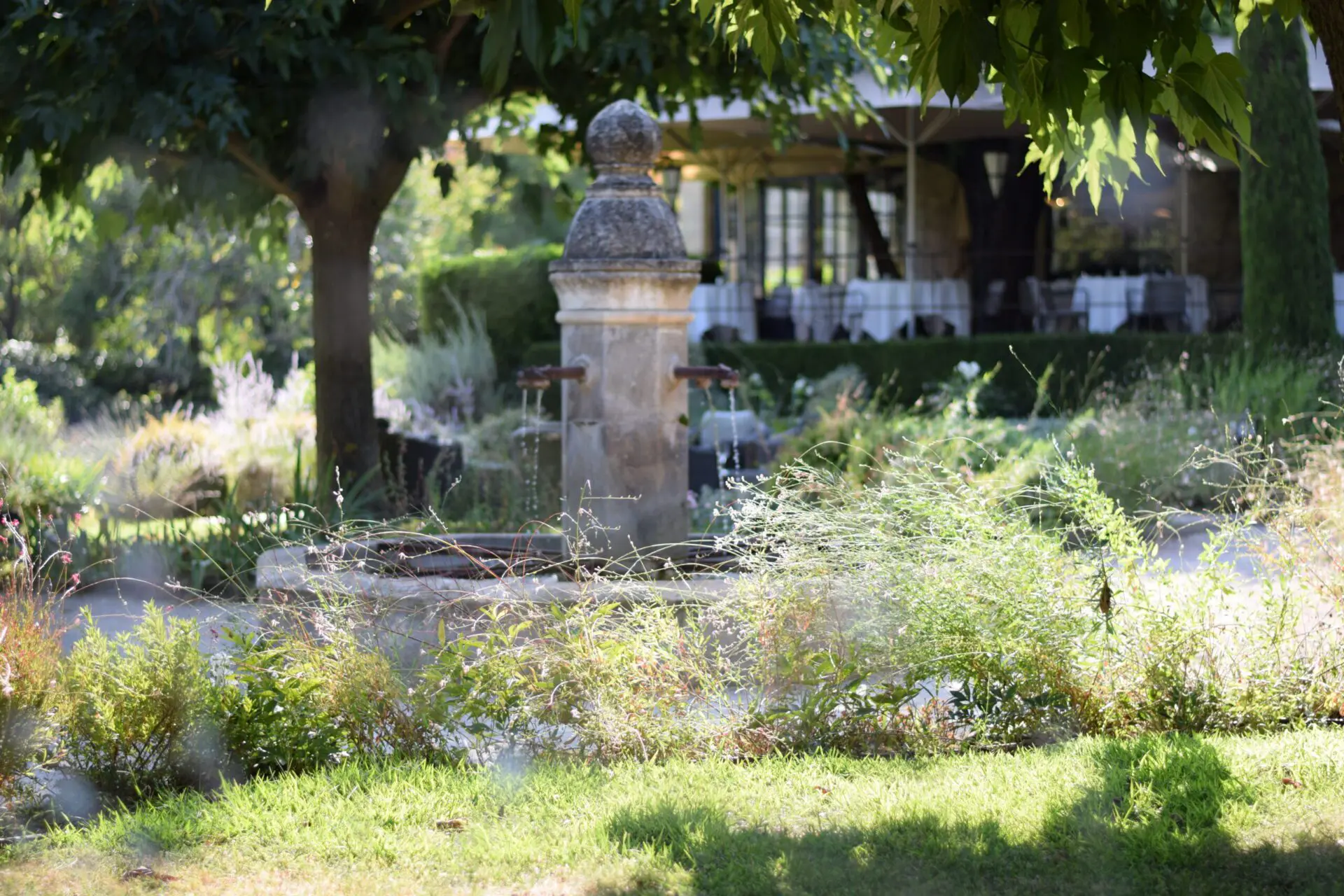 terrasse la cabro dor baumaniere