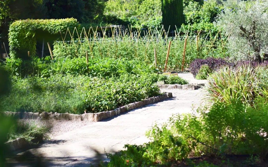 Les potagers des Chefs de Baumanière