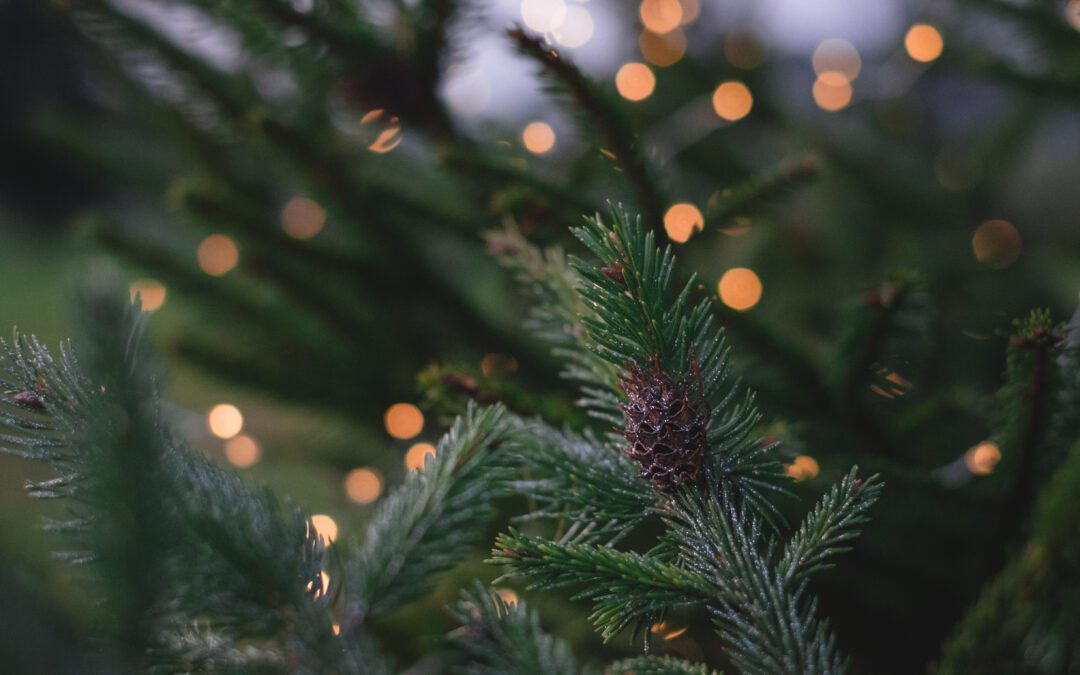 Noël magique – 2 nuits à Baumanière