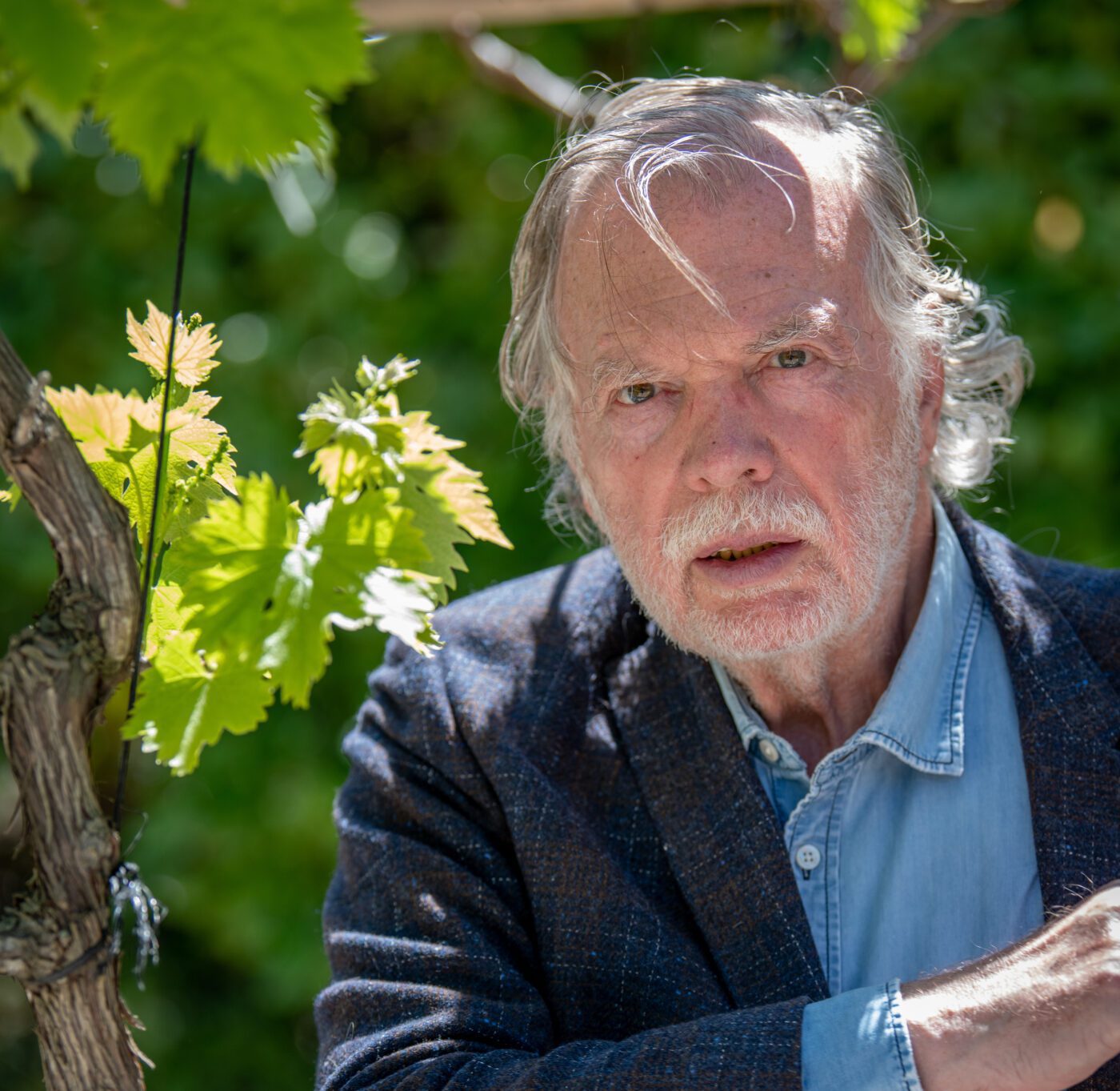 JA Charial et le vin