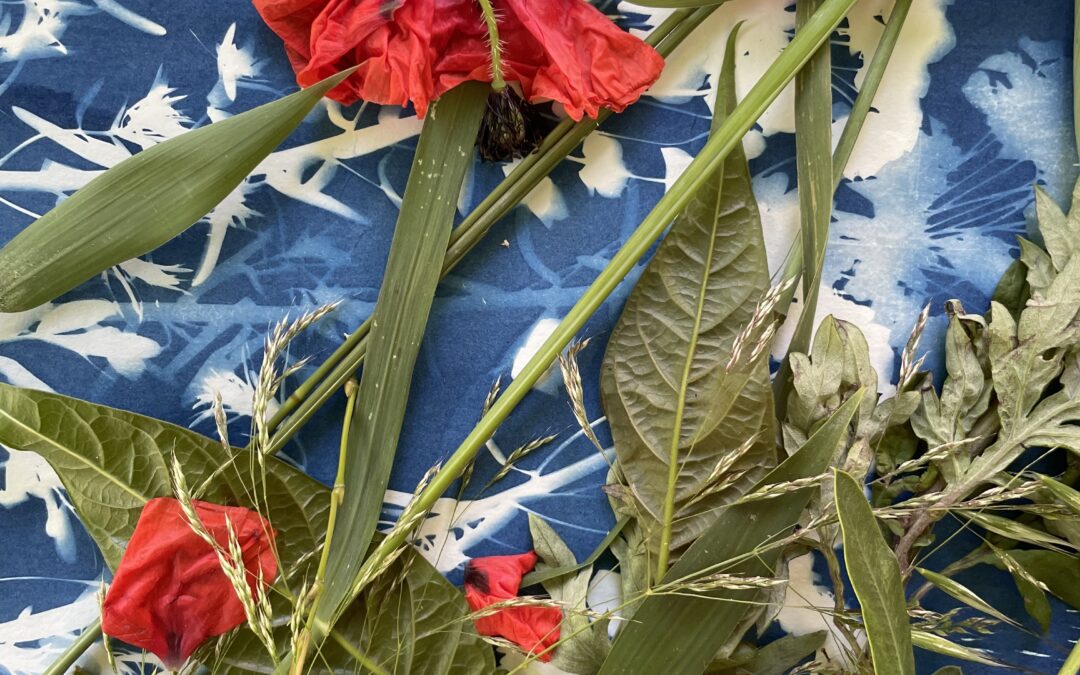 Les ateliers cyanotypes à Baumanière
