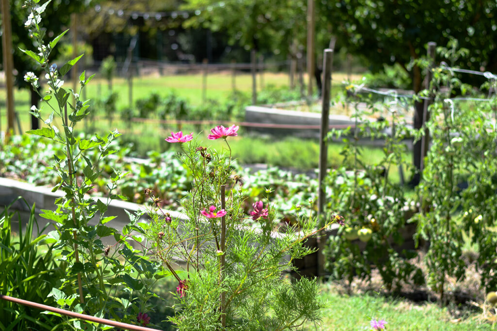 potager oustau de baumaniere