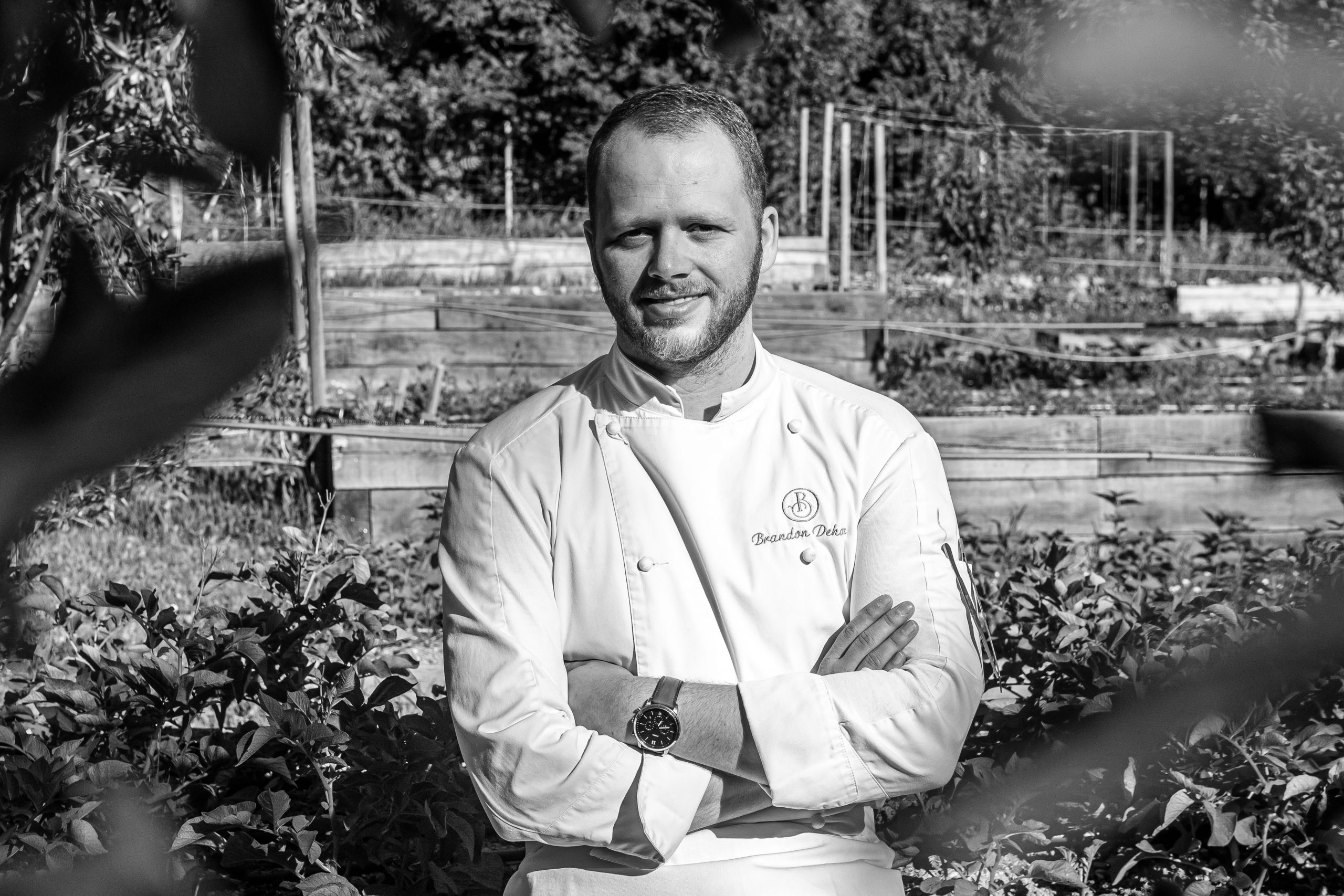 brandon dehan pastry chef brandon dehan pastry chef